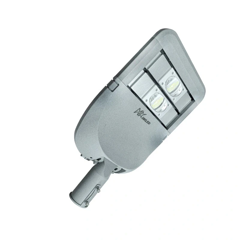 Đèn đường cao áp 100W Hiệu suất phát quang cao – D02