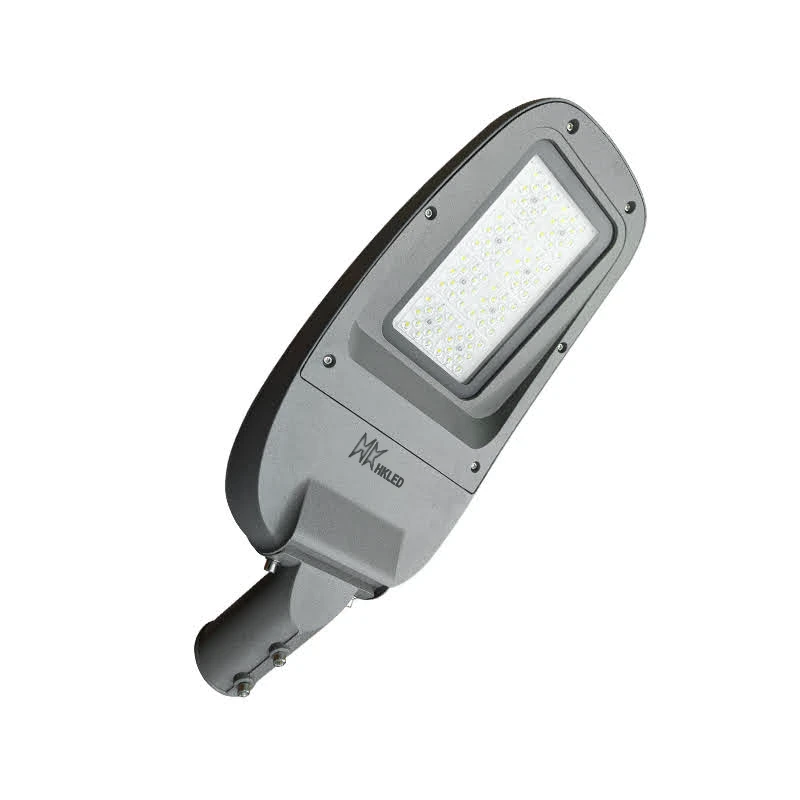 Đèn LED đường phố D20 chip LED SMD – Công suất 100W