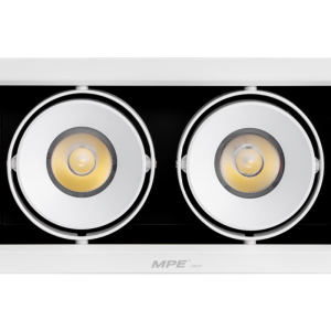 LED Downlight âm trần Chiếu điểm 2 đèn 20W ánh sáng vàng DLS-220V