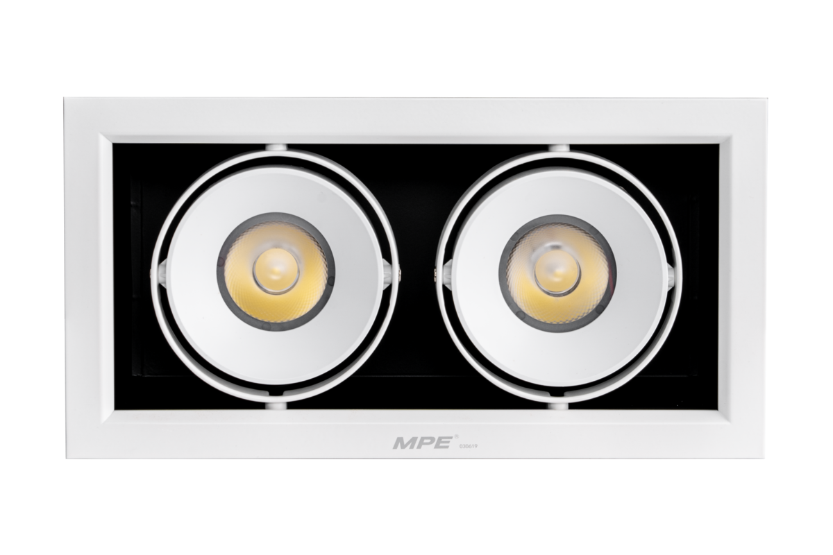 LED Downlight âm trần Chiếu điểm 2 đèn 20W ánh sáng vàng DLS-220V