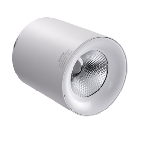 LED chiếu điểm gắn nổi 25W ánh sáng trắng SDL-25T
